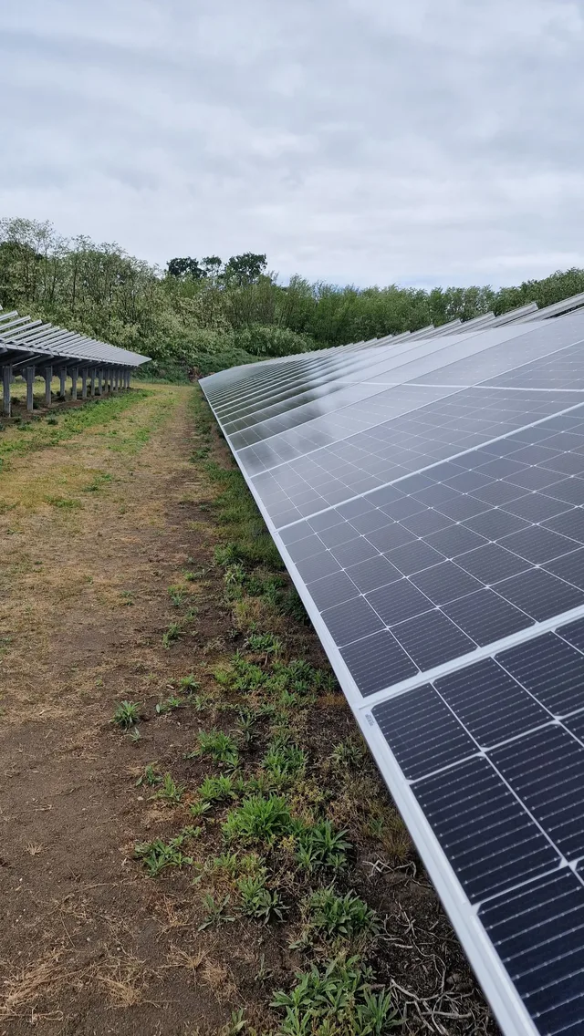 Campo fotovoltaico a terra